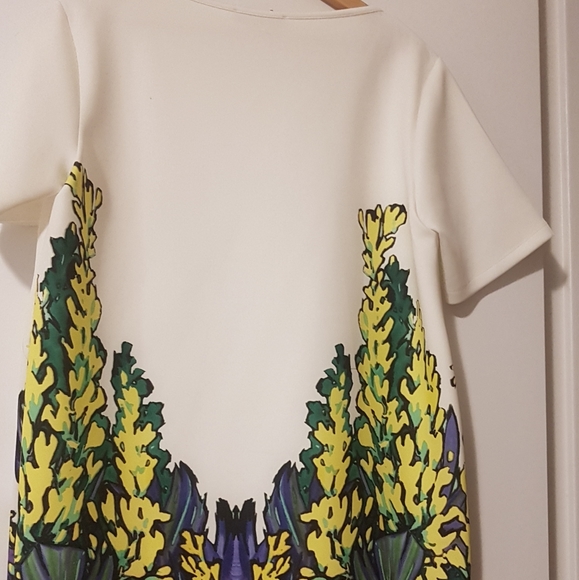 Beautiful Lolita & L Fern Dress - Picture 2 of 8